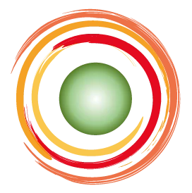 Camera Inspection Services Ltd logo